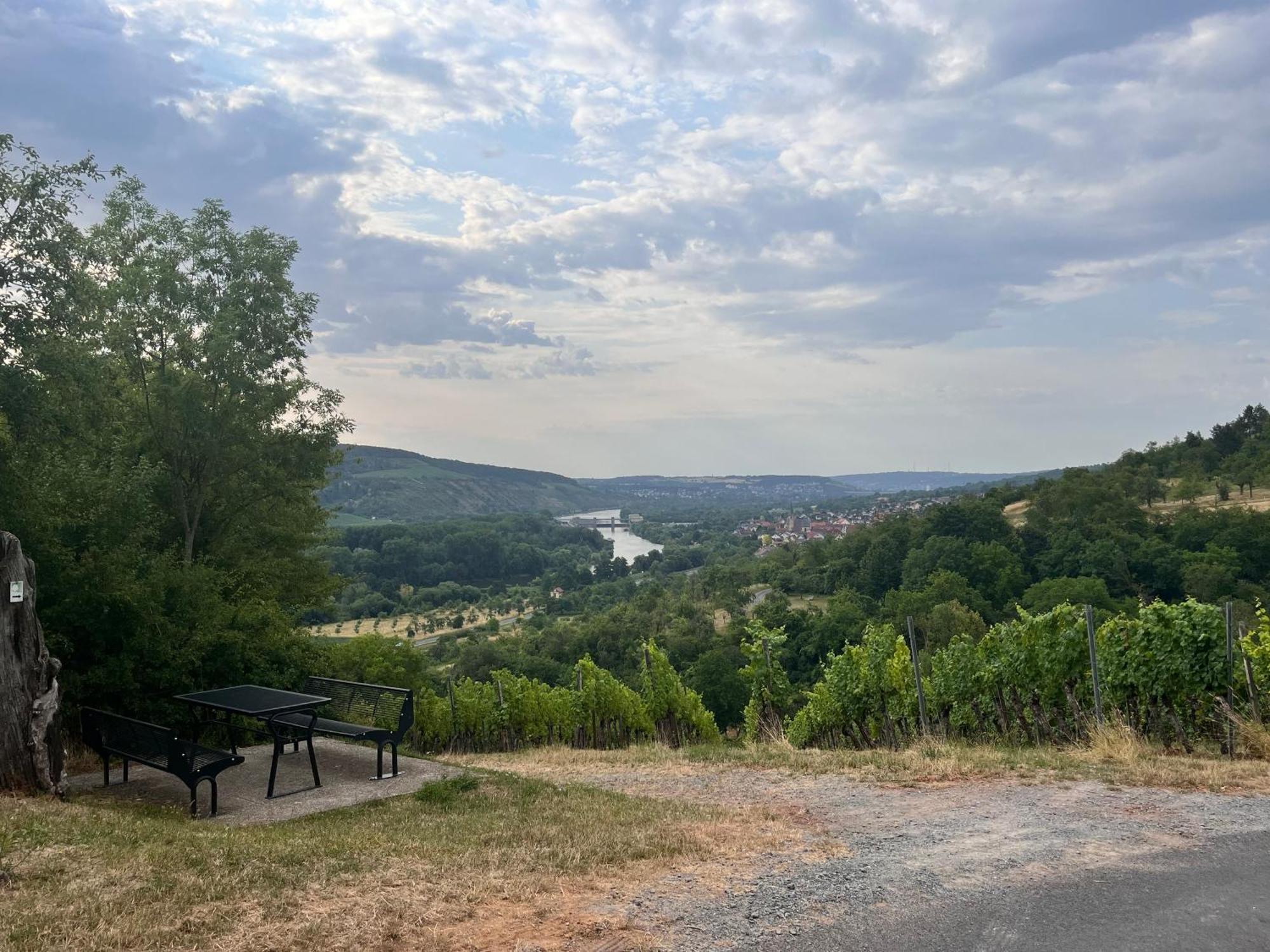 Ferienhaus Weinbergblick - Nahe Wuerzburg - 2 Schlafzimmer - Familienfreundlich - Terrasse Unterleinach Bagian luar foto