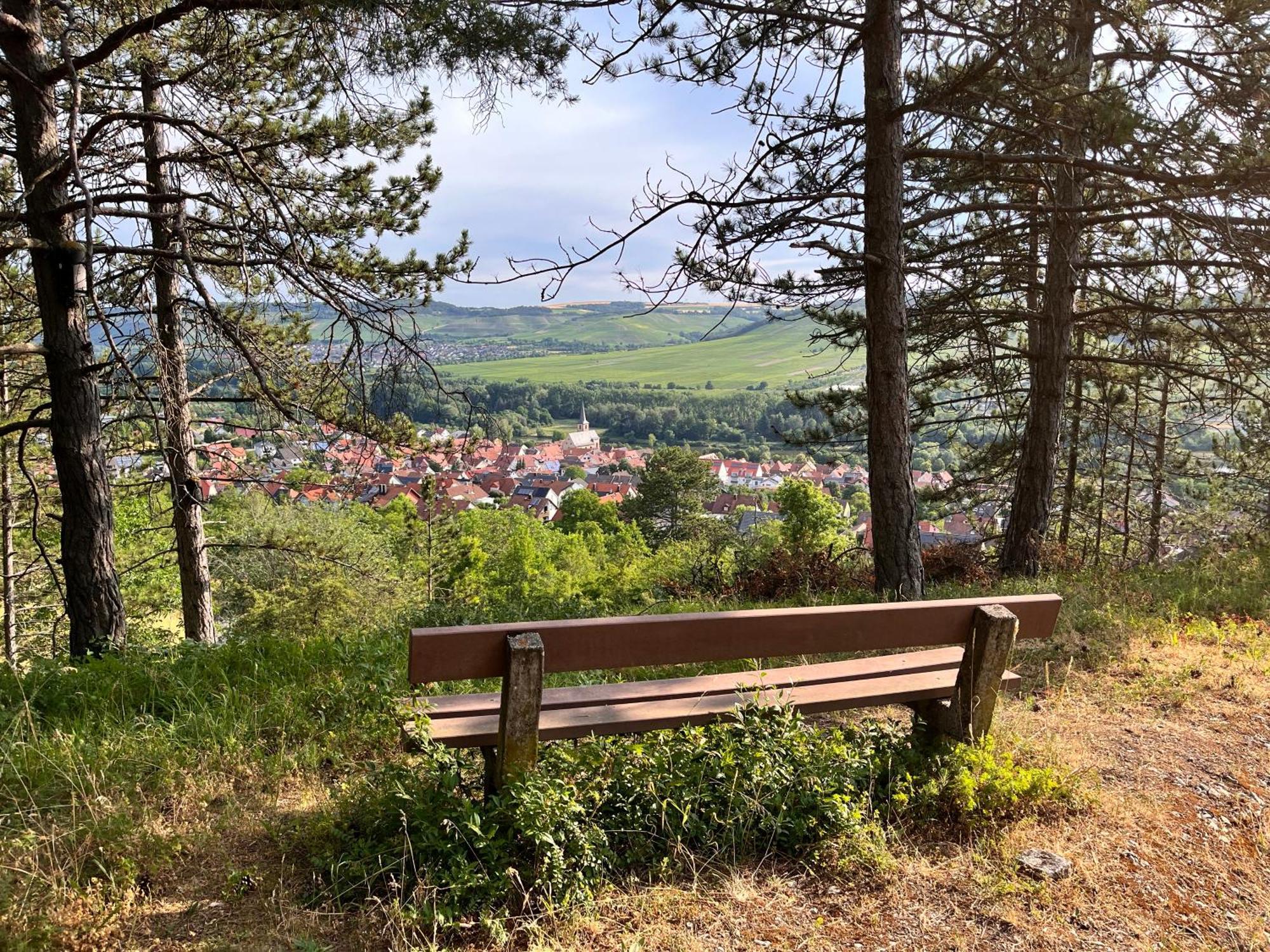Ferienhaus Weinbergblick - Nahe Wuerzburg - 2 Schlafzimmer - Familienfreundlich - Terrasse Unterleinach Bagian luar foto